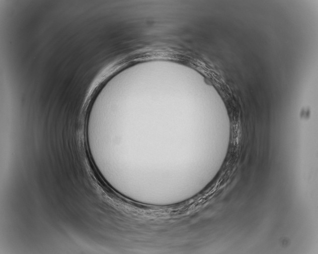 X0000098170004200805151128