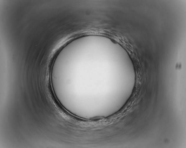 X0000098170005200805151128