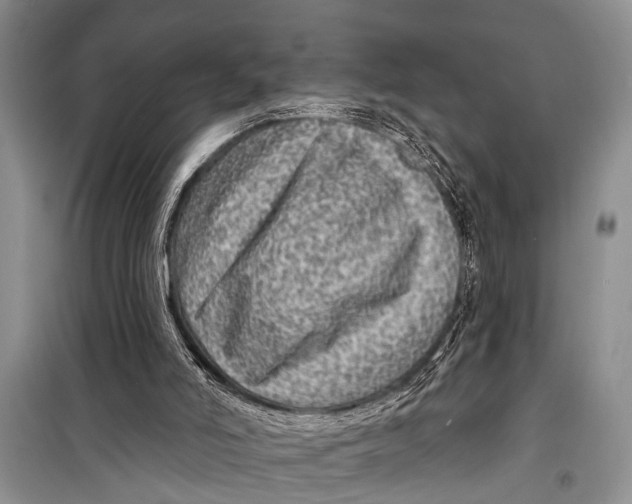 X0000098170006200805151128