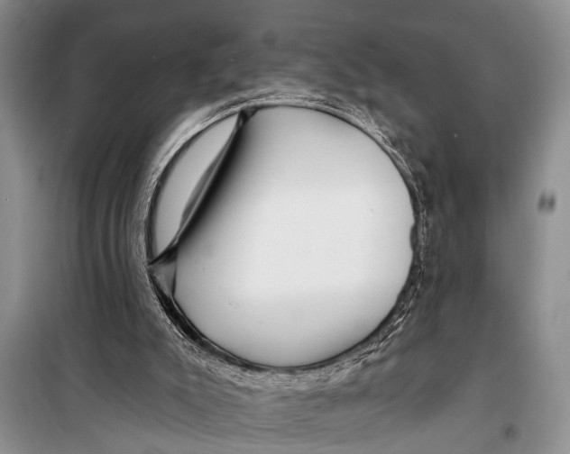 X0000098170007200805151128