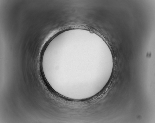 X0000098170008200805151128