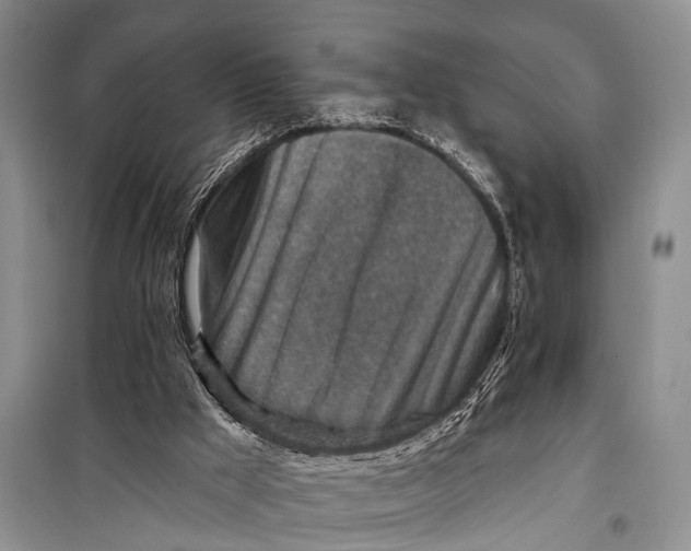 X0000098170009200805151128