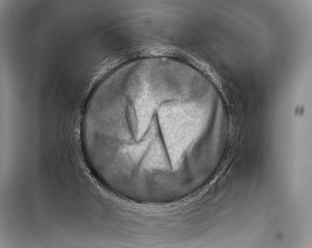 X0000098170010200805151128