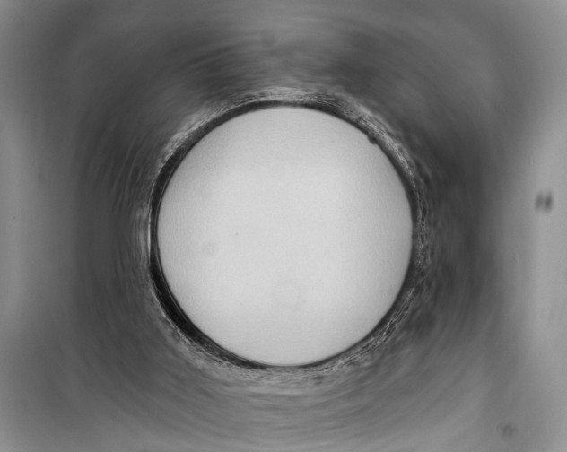 X0000098170011200805151128