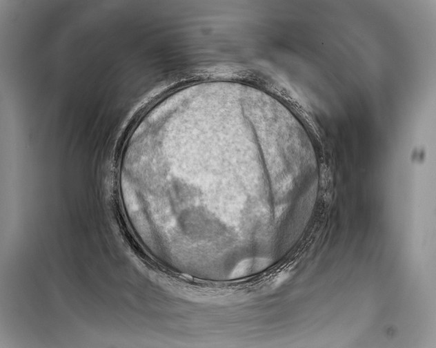 X0000098170012200805151128