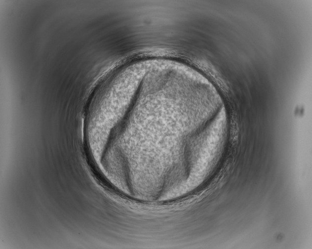 X0000098170014200805151127