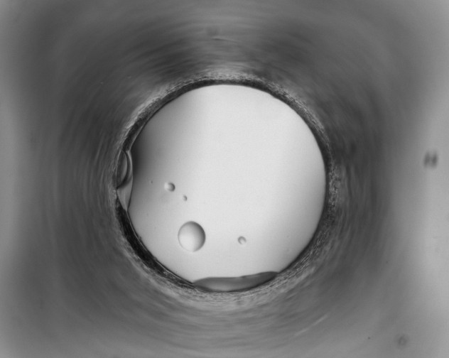 X0000098170015200805151127