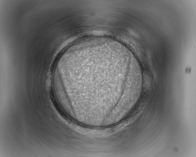 X0000098170016200805151127