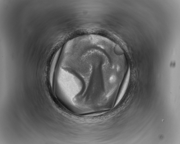 X0000098170018200805151127