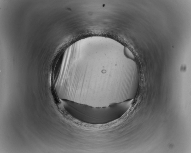 X0000098170019200805151127