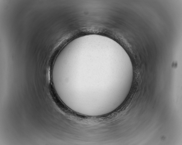 X0000098170020200805151127