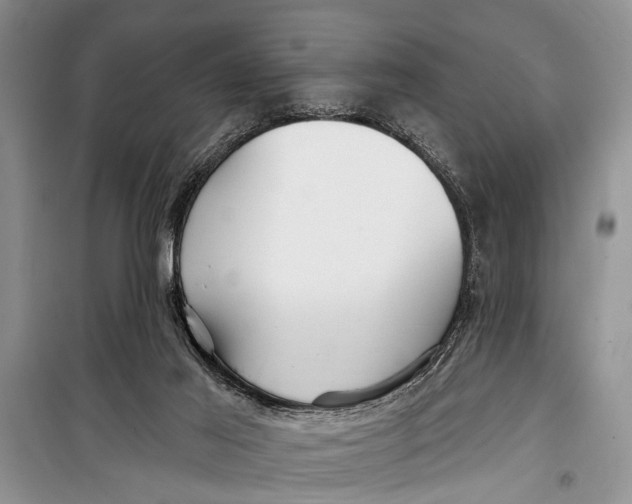 X0000098170021200805151127