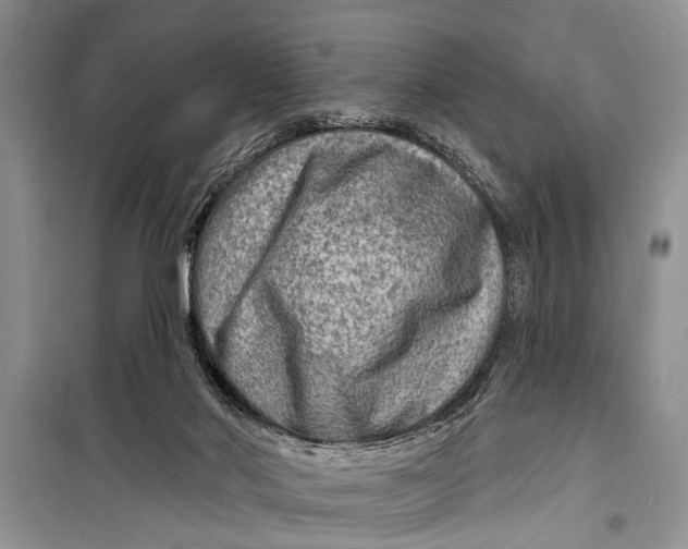 X0000098170022200805151127