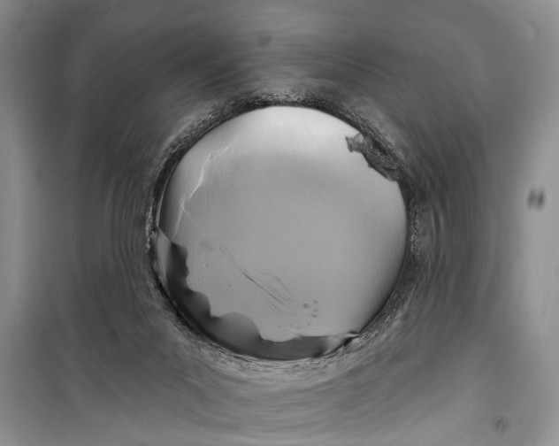 X0000098170023200805151127