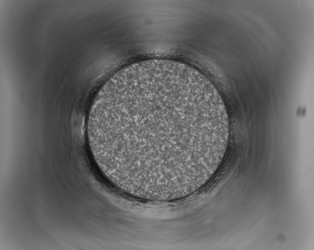 X0000098170024200805151127