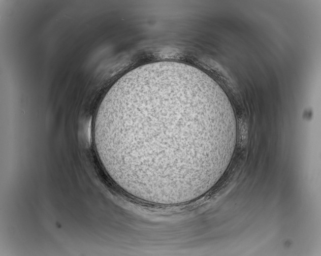 X0000098170028200805151127