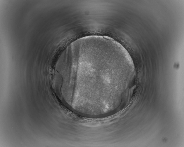 X0000098170029200805151127