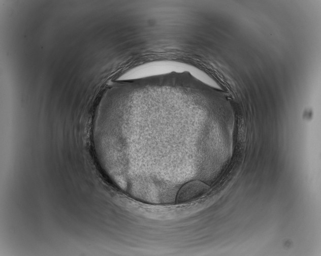 X0000098170030200805151127