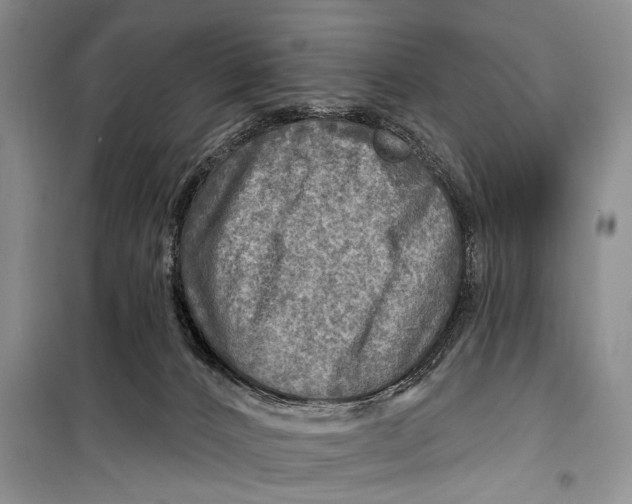 X0000098170032200805151127