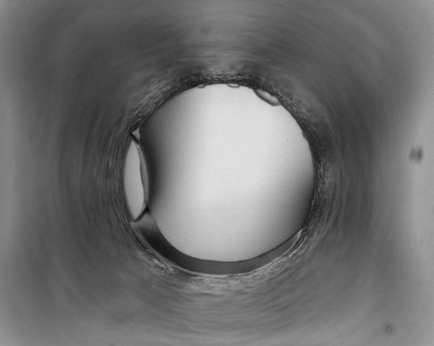 X0000098170033200805151127