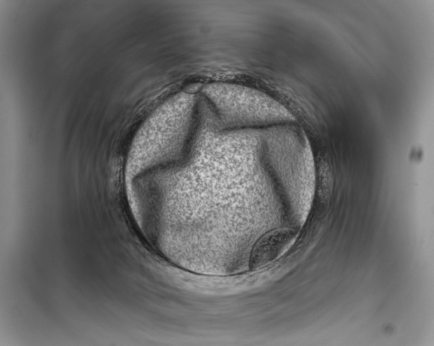 X0000098170034200805151127