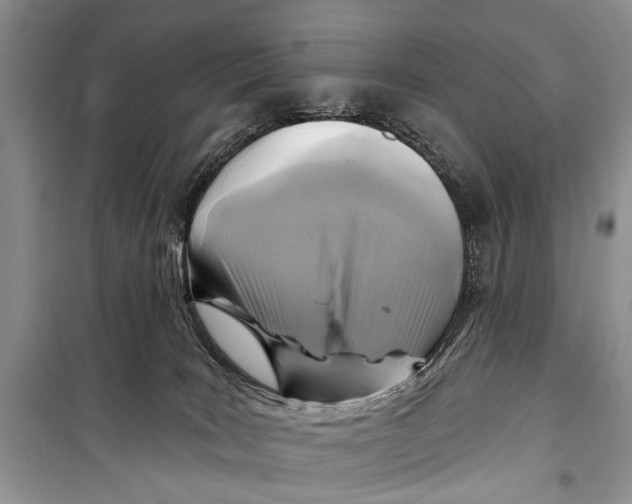 X0000098170035200805151127