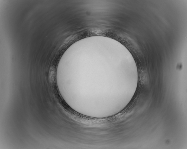 X0000098170036200805151127