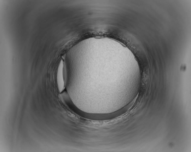 X0000098170037200805151127