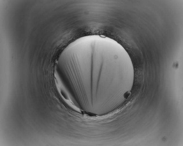 X0000098170039200805151127