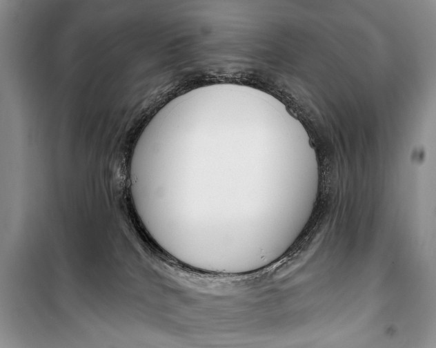 X0000098170040200805151127