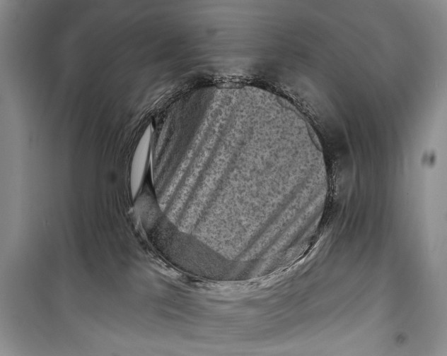 X0000098170041200805151127