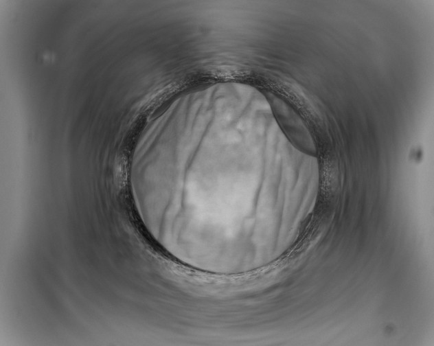 X0000098170043200805151127