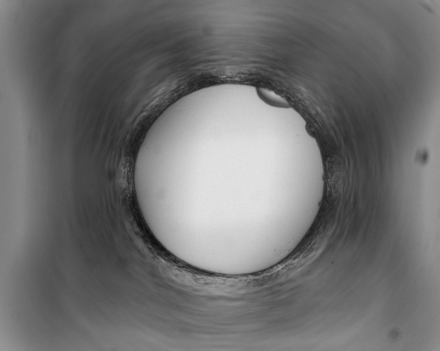 X0000098170044200805151127