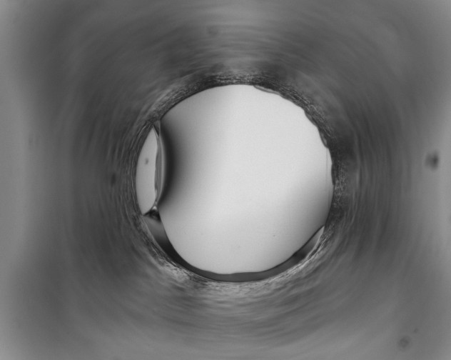 X0000098170045200805151127