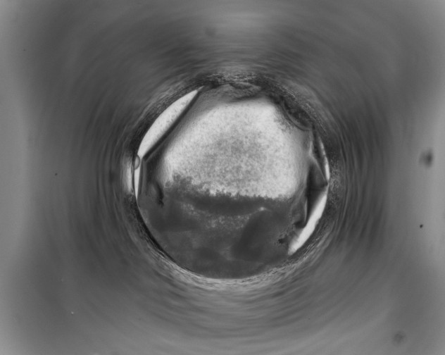 X0000098170046200805151127