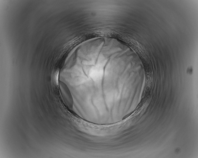 X0000098170047200805151127