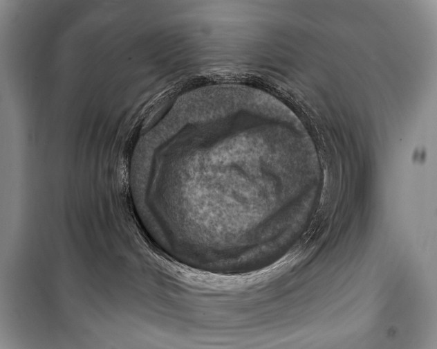 X0000098170048200805151127