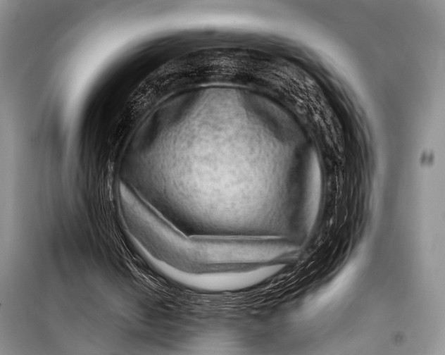 X0000098170050200805151126