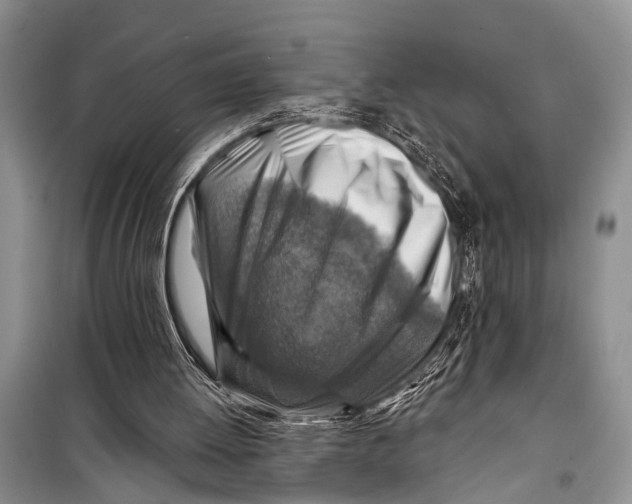 X0000098170052200805151126