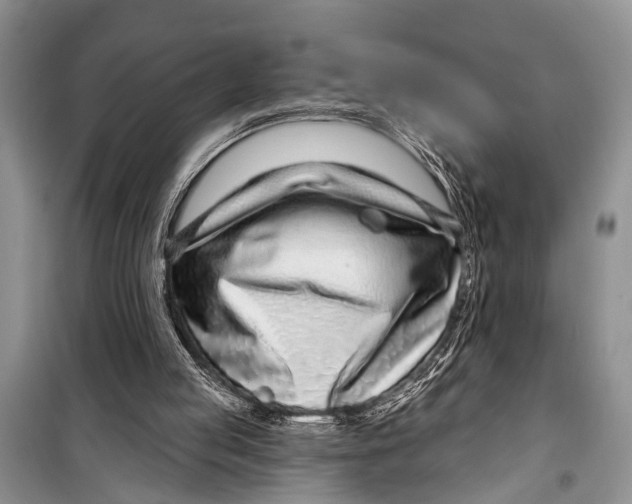 X0000098170053200805151126