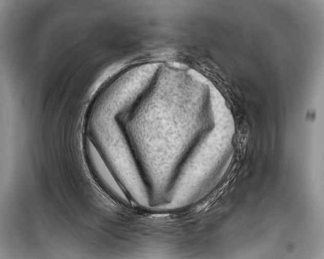 X0000098170054200805151126