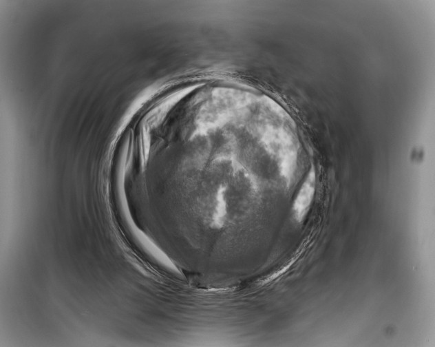 X0000098170056200805151126