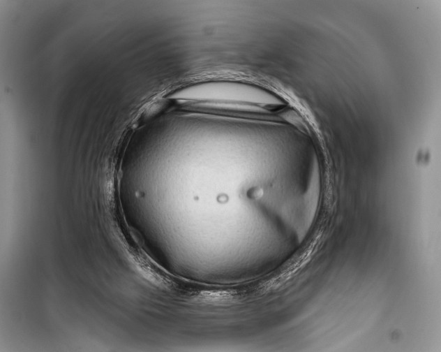 X0000098170057200805151126