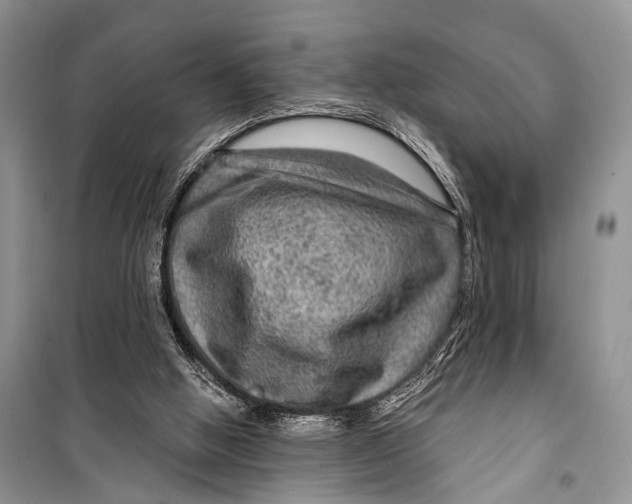 X0000098170058200805151126