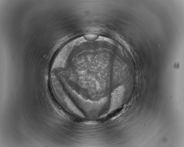 X0000098170059200805151126