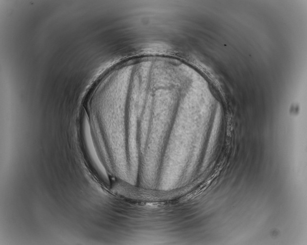 X0000098170060200805151126