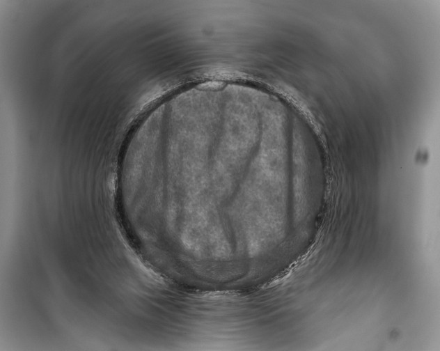 X0000098170063200805151127