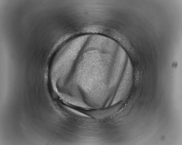 X0000098170064200805151127