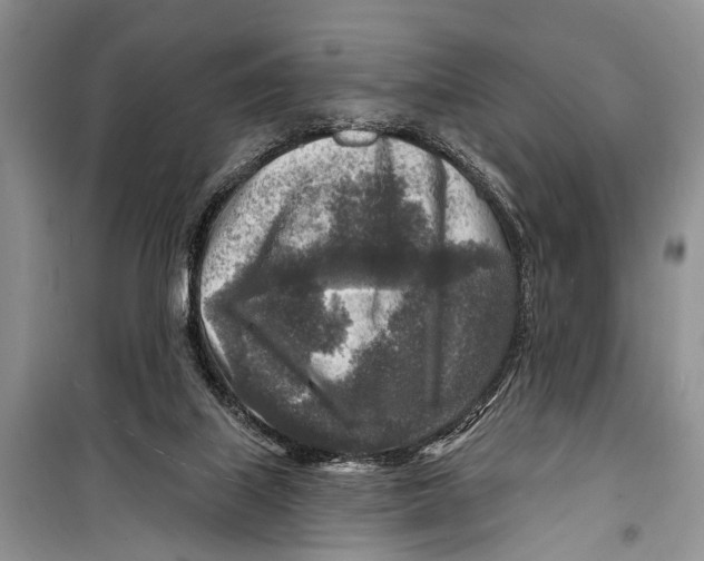 X0000098170067200805151127