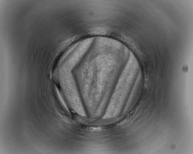 X0000098170068200805151127